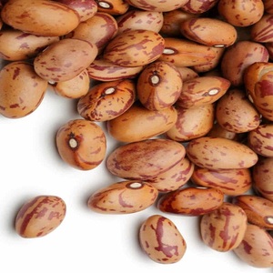 Best Grade Dried Pinto/Mottled <b>Beans</b> Bulk 25kg - Product Image 1
