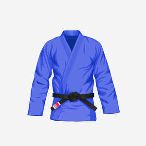 Bobina y Lámina de Acero Galvanizado GI Directo de Fábrica, Acero Galvanizado DX51D SGCC, Ropa Deportiva Personalizada Cómoda para Adultos, Jiu Jitsu OEM, Tiempo de Entrega - Product Image 6