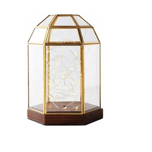 Décoration intérieure Conteneur de fleurs ou de plantes Terrarium en verre et métal Décor de balcon Forme irrégulière Dessus de table Terrarium en verre - Product Image 4