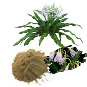 Crinum Latifolium Crinum,Latifolium Powder Akina ธรรมชาติที่มีคุณภาพสูง - Product Image 1