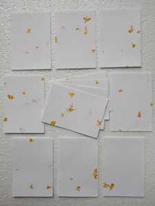 กระดาษทำด้วยมือกลีบดอกไม้ข้าวโพดมีขนาดแผ่น5*7นิ้วเหมาะสำหรับการ์ดแต่งงานและสถานีจัดงานแต่งงาน - Product Image 3