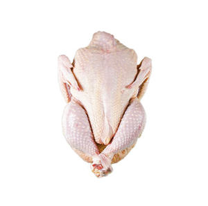 Pollo congelado premium, pollo entero crudo más barato en venta - Product Image 4