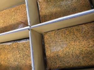 Maracuyá congelado de Vietnam - Product Image 4