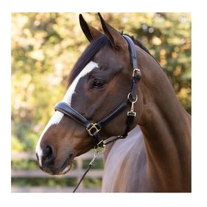 เชือกแขวนคอเบาะหนังสีดำทรงกรวยพร้อมท่อสีทองทองเหลืองสำหรับแข่งม้า - Product Image 4