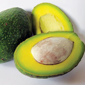 MORCEAUX D'AVOCADO CONGELÉS-EXPORTATION EN GROS À PRIX CONCURRENTIEL - Product Image 3