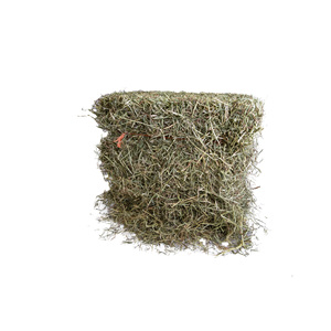 500g de foin de luzerne séché de qualité standard pour lapins et cochons d'Inde, à prix avantageux, en vente - Product Image 5