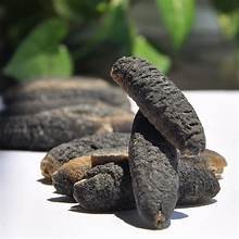 POLVO DE PEPINO DE MAR PURO SUPERALIMENTO NATURAL MARINO PARA EL APOYO INMUNE Y LA SALUD DE LAS ARTICULACIONES - Product Image 2