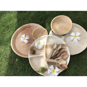 Cucharas Ecológicas de Hoja de Palma Areca, Biodegradables, de un Solo Uso, de Vietnam - Product Image 6