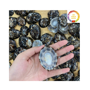 Copa de martini de concha marina de alta calidad para Bar de resort tropical y regalo de boda inspirado en la costa - Product Image 6