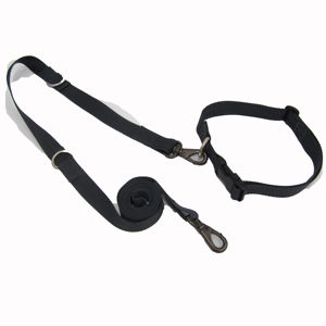 High Quality Nylon Dog Collar with Buckle Wholesale Best Supplier in Vietnam Competitive Price Padded Animal Pattern for Pets - Product Image 4