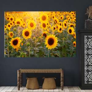 Arte impreso en lienzo con diseño de girasoles para decoración del hogar, 1P:Gallery Wrapped - Product Image 1