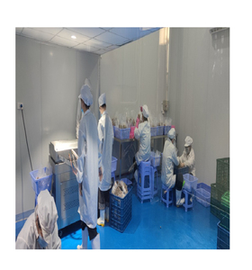 Durian orgánico fresco Vietnam dulce congelado Pulpa de fruta entera BQF proceso IQF puré de agua conservación paquete al vacío embalaje de cartón - Product Image 3