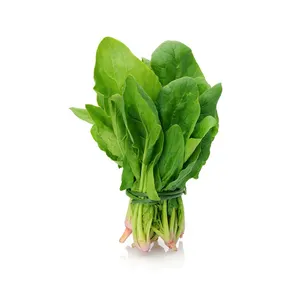 Zertifikat Gefrorenes frisches Gemüse Grüner Spinat Gemüse pulver Spinat extrakt Spinat pulver zu verkaufen