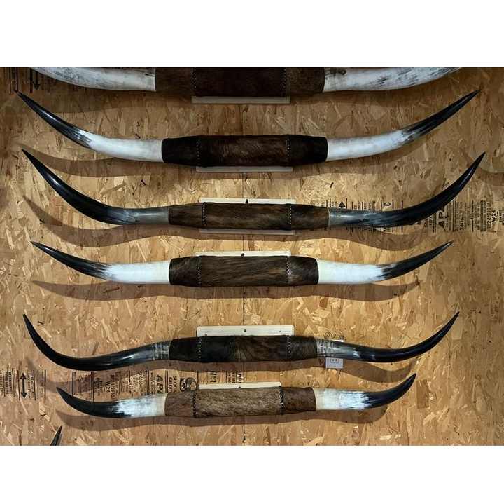 American heritage Classic Black Steer Horns from India Wide Decorative Bull Horns for Farmhouse Man Cave or Western Themed Decor