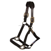 Weaver-licou de cheval en cuir et Nylon, réglable, avec plusieurs couleurs vives, rembourré