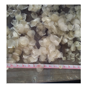 ปลานิลเกล็ดอบแห้งดวงอาทิตย์ - Product Image 4