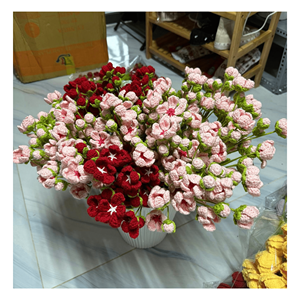 Flor de Ganchillo, Hilo Acrílico para Crochet, Flor para Rellenar Ramos, Proyectos de Manualidades y Decoración de Eventos, Origen Vietnam - Product Image 1