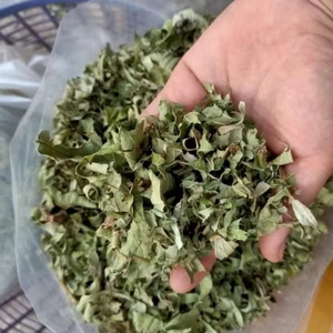 Hojas de guayaba secas en Vietnam: alta calidad y precio competitivo - Product Image 1