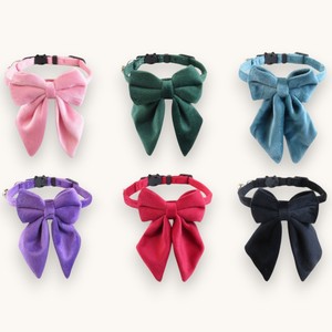 Nuovo <span class=keywords><strong>Collare</strong></span> per Animali Domestici di Design, Stile Macaron per Tutte le Stagioni, Colori Solidi, <span class=keywords><strong>Collare</strong></span> per <span class=keywords><strong>Gatti</strong></span> con Campanello e Fiocco, Colori e Campanelli Personalizzabili - Product Image 1