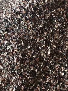 Cáscara de Anacardo Cruda Premium 100% Natural de Origen Vietnamita para Fabricantes de Piensos que Requieren Uniformidad y Alta Calidad - Product Image 4