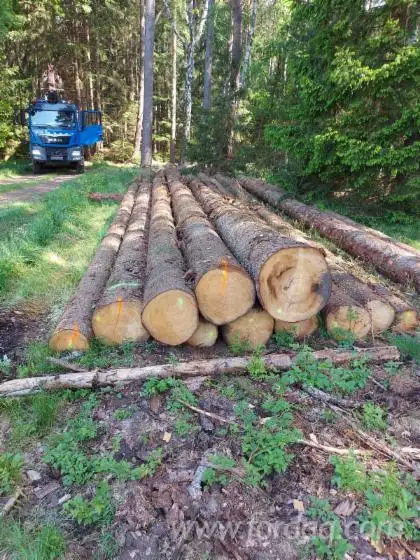 Logs de serra pulverizada, 11.5 m de comprimento