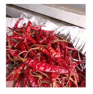 Usine en gros piment rouge entier séché Vietnam/ AD piment rouge qualité supérieure pour l'exportation avec un prix compétitif - Product Image 3