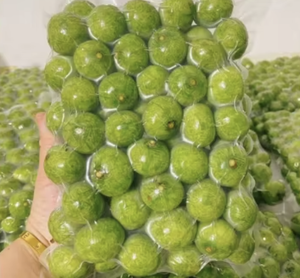 FRUITS CONGELÉS Dracontomelon congelé IQF pour le paquet en vrac d'exportation - Product Image 6