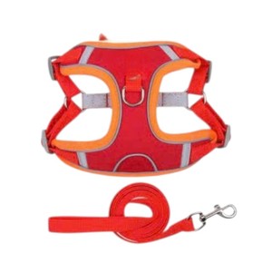 Arnés y Correa para Perros de Nailon y Poliéster, Diseño Seguro con Correa para el Pecho, Hecho en Vietnam - Product Image 2