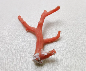 ¡Coral! Piedra preciosa de Coral italiano natural 100%, palitos de Coral rojo, calidad AAA Coral no pulido en bruto, piedra preciosa de palos de Coral marino - Product Image 5