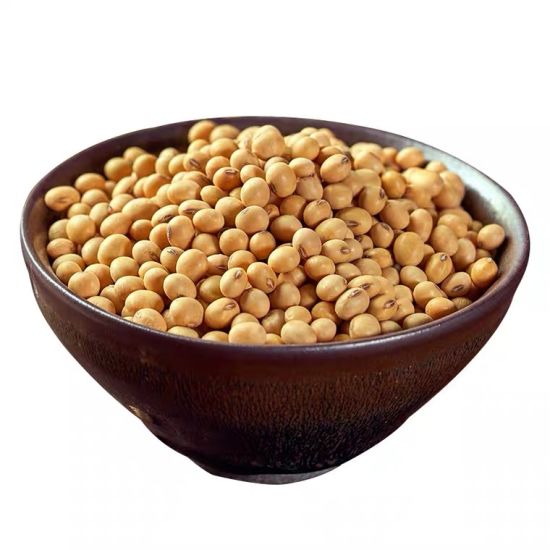 Высококачественные высококачественные натуральные и не-GMO Желтые Семена сои/NON-GMO соевые бобы