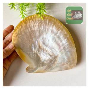 Plato de Nácar Natural Pulido, Elegante Plato para Caviar de Concha Marina, Hecho a Mano en Vietnam, Bandeja de Lujo Ecológica - Product Image 4