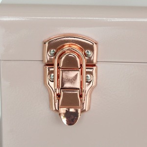 กล่องเก็บของทรงกระบอกโลหะตกแต่งลายรากบัวสีชมพู - Product Image 5