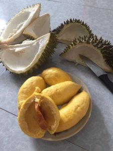 Nouveau Durian frais de culture: le meilleur du Vietnam aux prix de gros - Product Image 6