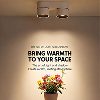 Spot LED Moderne 2*12W à Double Tête, Montage en Saillie, Orientable, pour Hôtels, Magasins et Éclairage Intérieur