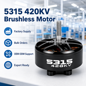 Motor sin Escobillas FPV 5315 420KV de Alto Torque para Drones de Carreras de Largo Alcance, UAV Multirrotor, OEM, ODM, Venta al Por Mayor - Product Image 5