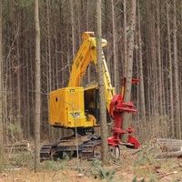 Buncher cingolato certificato feller XT465L-5