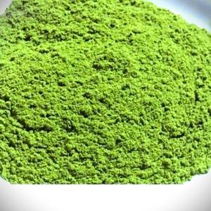 Guanábana en polvo de Sri Lanka | Polvo orgánico de hojas de fruta de Graviola de Ceilán | Polvo de hoja de Guanábana de Ceilán para venta al por mayor a granel - Product Image 4