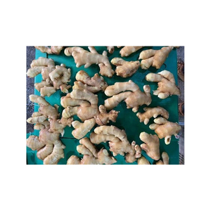 Gingembre frais de qualité supérieure pour réduire le reflux acide et les brûlures d'estomac - Product Image 2