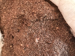 Coques de noix de cajou brutes de qualité supérieure en provenance du Vietnam avec des fibres propres et durables, idéales pour les producteurs d'aliments industriels à la recherche d'une alimentation fiable - Product Image 5