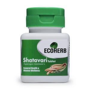 Comprimés d'extrait de Shatavari naturel très demandés pour le bien-être quotidien ou l'utilisation générale pour la santé, disponibles à un prix abordable - Product Image 2
