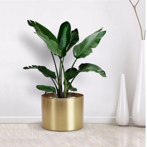 Jardinières en métal Conteneur de Plantes Personnalisé Grand Jardinière Ronde en Or pour la Maison Salon Décoration Pot de Fleur - Product Image 2