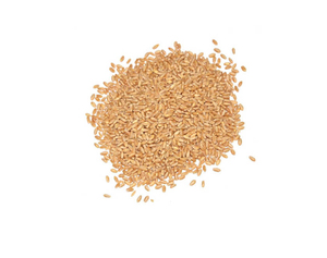 Grains de blé séchés de la meilleure qualité Grains de blé tendre et dur orge en vrac Grains de blé pour la vente en gros - Product Image 1