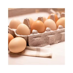 Huevos de Gallina Fértiles para Incubar/Huevos Frescos de Gallina para Consumo/Huevos de Codorniz - Product Image 3