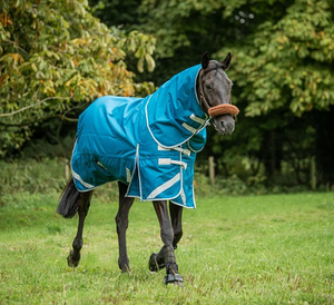Durable <b>Waterproof</b> Horse <b>Rugs</b> for Winter Affordable Custom Fit Made from Premium Grade Polyester - Product Image 3