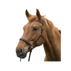 Bride de sangle enduite de PVC de cheval équestre rembourré doux et durable de la plus haute qualité avec serre-tête confortable Fabricant en gros - Product Image 1