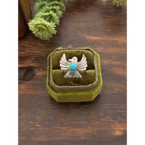 Kingman Turquoise & Platinum Thunderbird <b>Ring</b> with Bezel Setting <b>Statement</b> Shape Smooth Cut Everyday Wear by Delayne Reeves - Product Image 1
