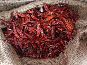 Piments rouges séchés en vrac, qualité A, épice naturelle pour l'exportation mondiale, les services alimentaires et le traitement industriel - Product Image 6