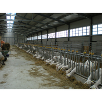 2022 Offre Spéciale préfabriquées Préfabriqués Bovins Vache Chèvre Laitière hangar Agricole Conception