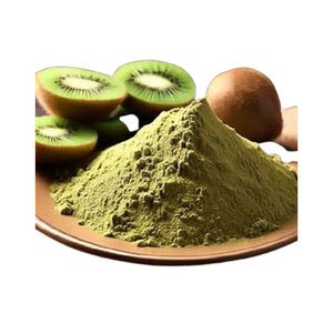 Poudre de kiwis de qualité certifiée séchée par pulvérisation à haute teneur en vitamine C de l'exportateur indien au meilleur prix de gros en ligne - Product Image 2