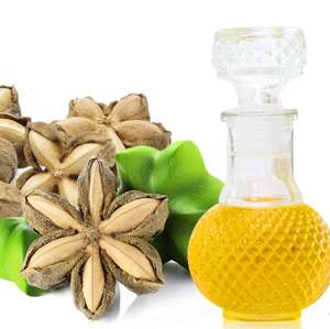 HUILE SACHI DE QUALITÉ SUPÉRIEURE AU MEILLEUR PRIX DU VIETNAM PRÊT À EXPORTER EN VRAC - Product Image 4